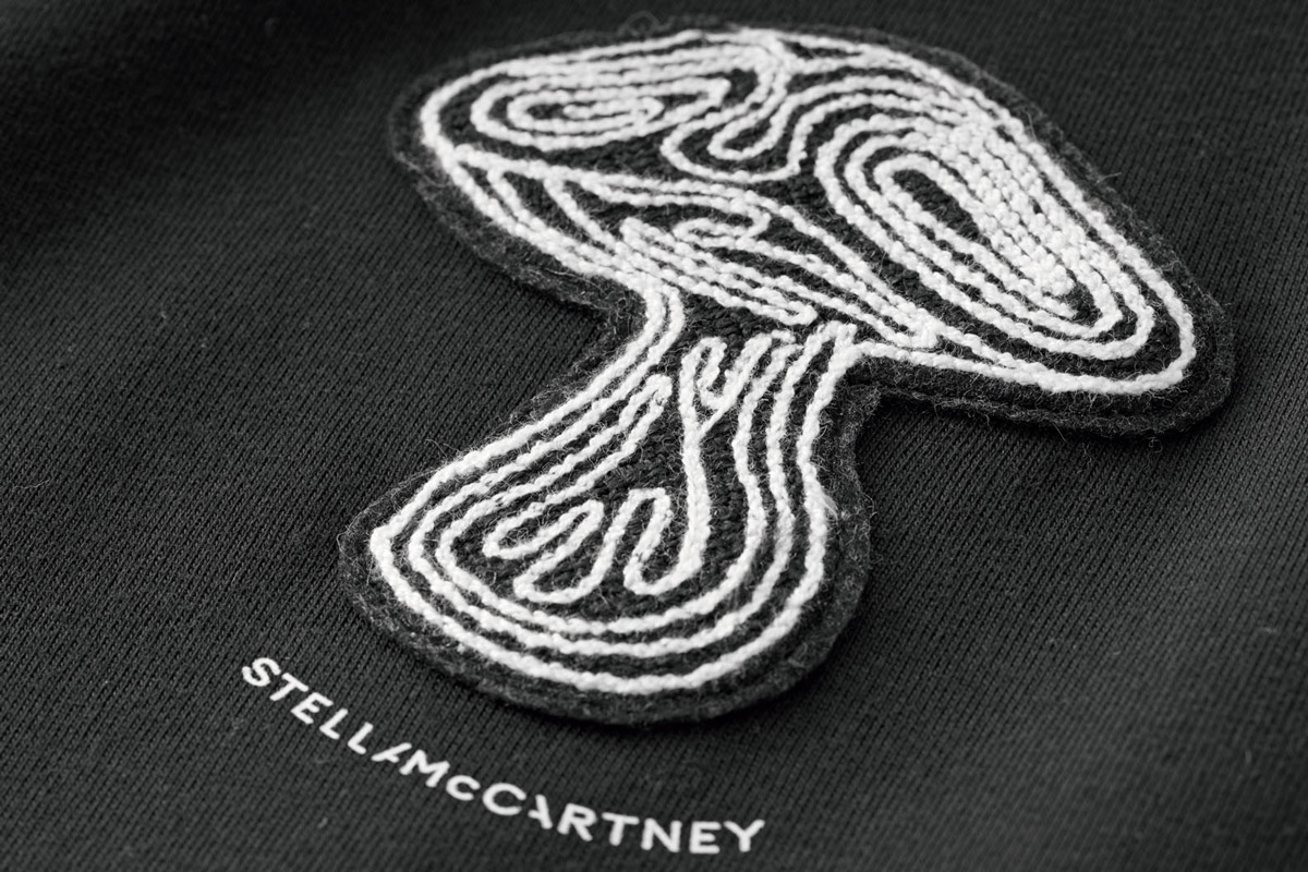 ステラマッカトーニー　ワンピース　サイズ38　ハイブランドならではのきれいな刺繍